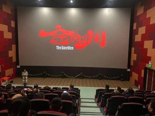 華陰市文旅局黨委 重溫崢嶸歲月筑牢使命擔當，文化交融激發時代活力